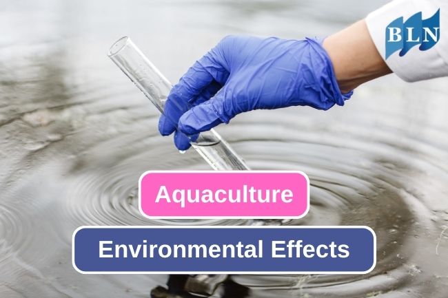 6 Impact That Aquaculture Caused